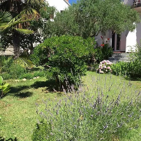 Asovic Apartment
